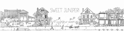 sweet juniper inspiration