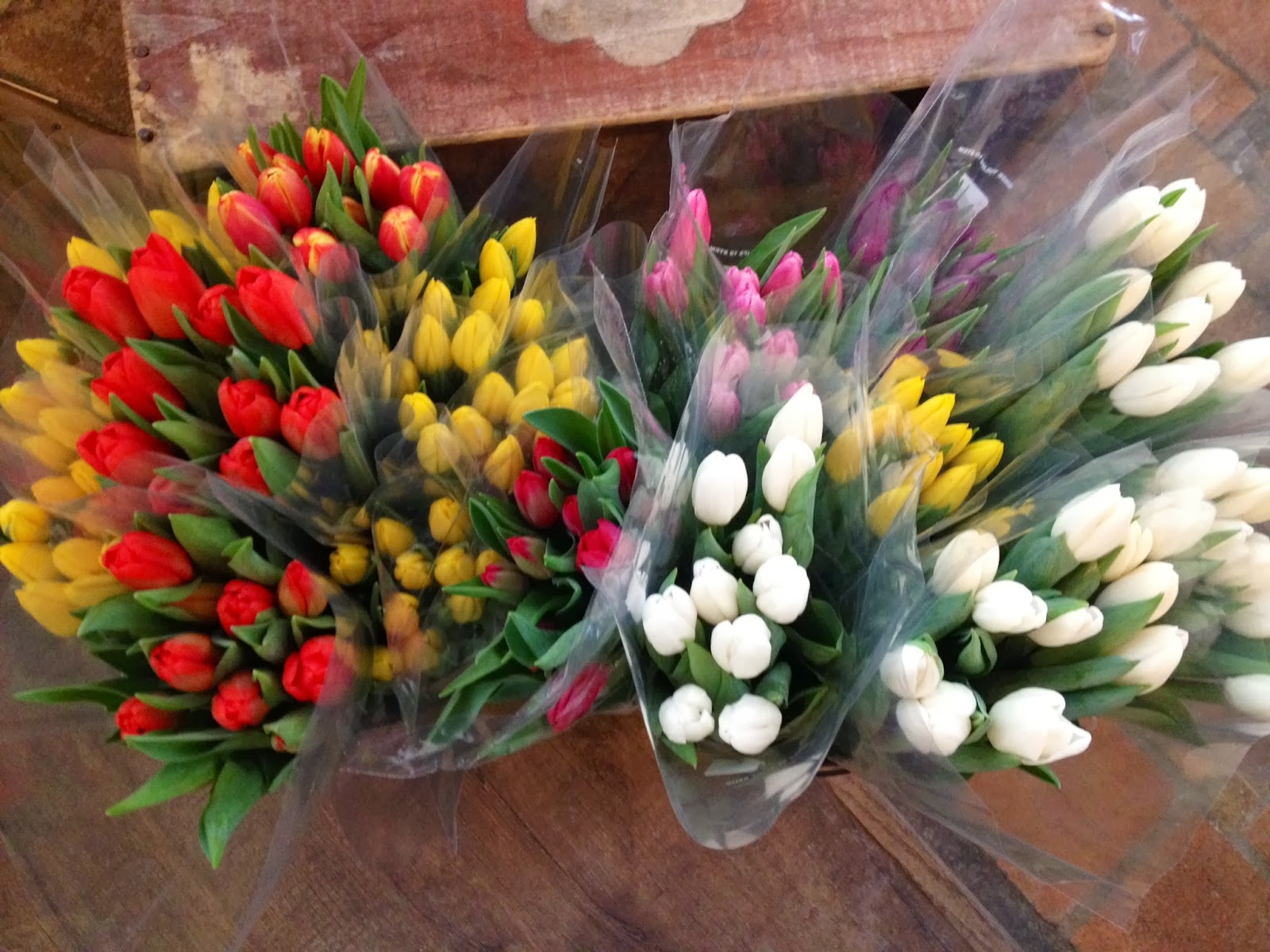 Bank of Flowers Tulip Sale!
