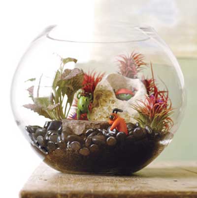 Terrarium