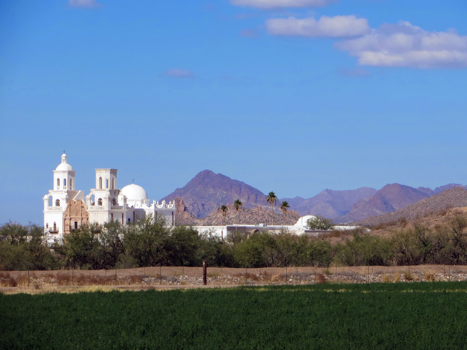 The Daily Rant The White Dove Of The Desert