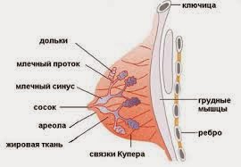 Как сделать кокосовые чипсы Как сделать кокосовые чипсы