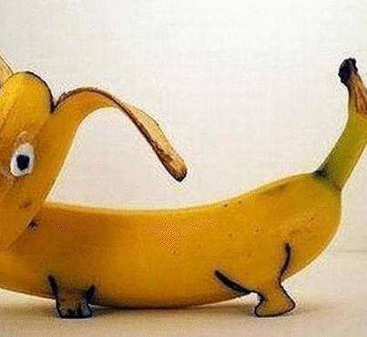 CÃO BANANA