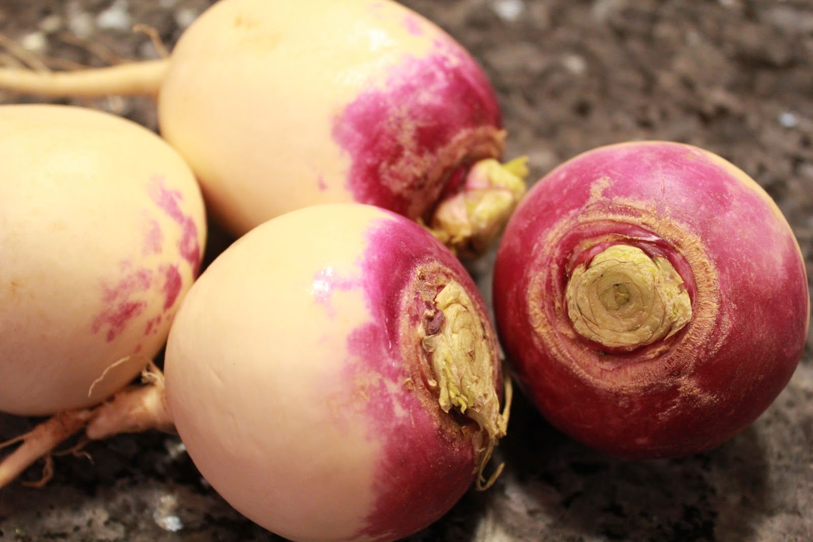 Creamy turnip soup a recipe Yankee Kitchen Ninja