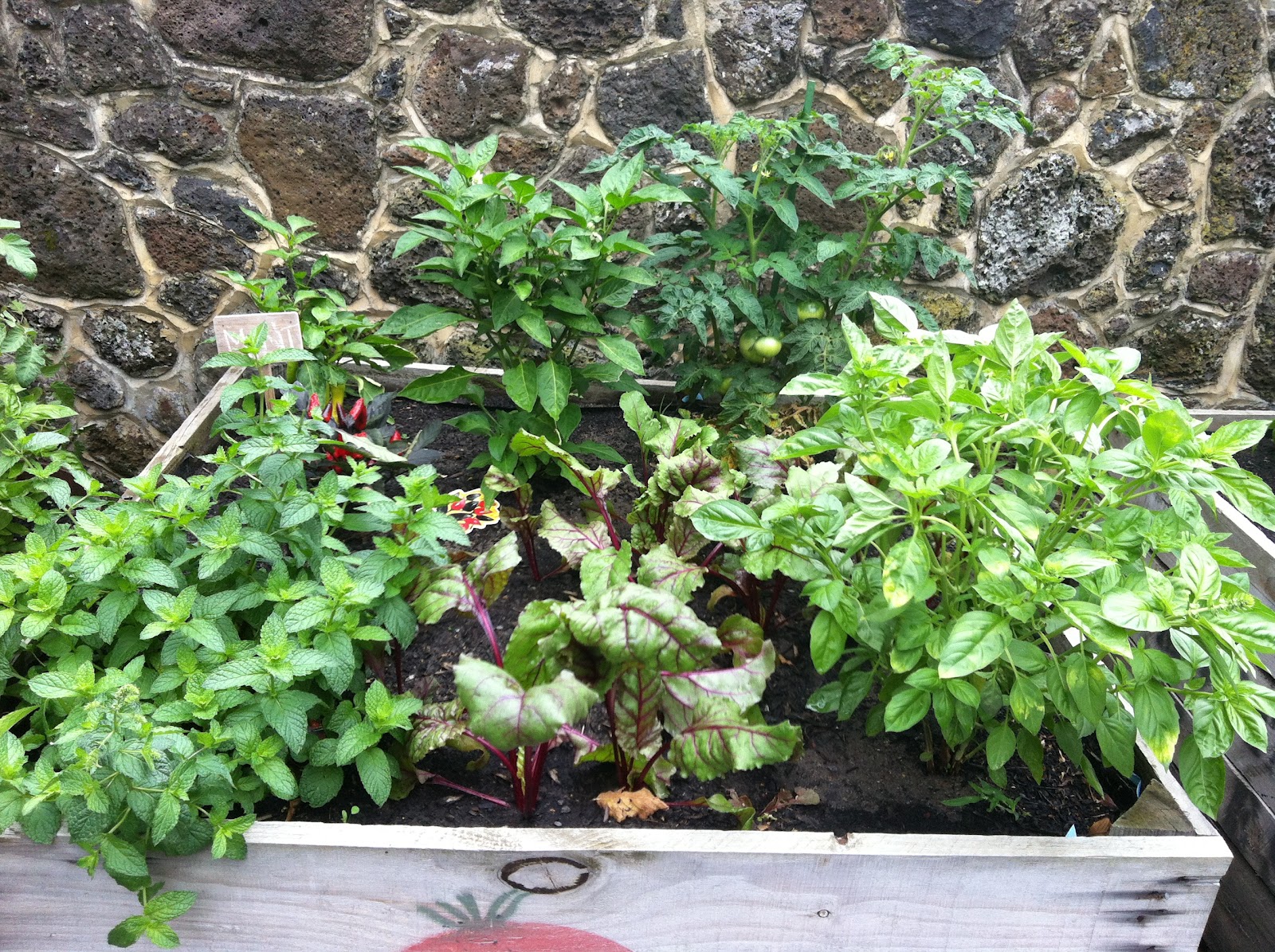 URBANFIT STUDIO My Veggie Patch...