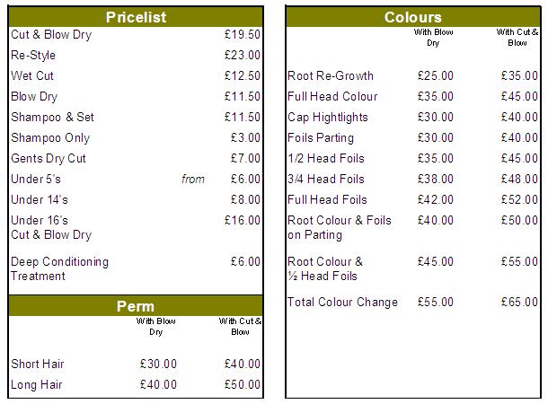 28 Hairdresser Price List Template Salon Price List Flyer
