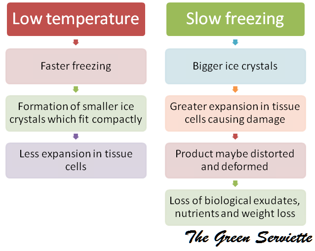 The Green Serviette Frozen food Brief Insight