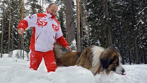 lsn dogs oladele pictures putin and obama in show lsn dogs oladele pictures putin and obama in show