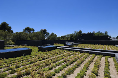 A-cero cubiertas vegetales
