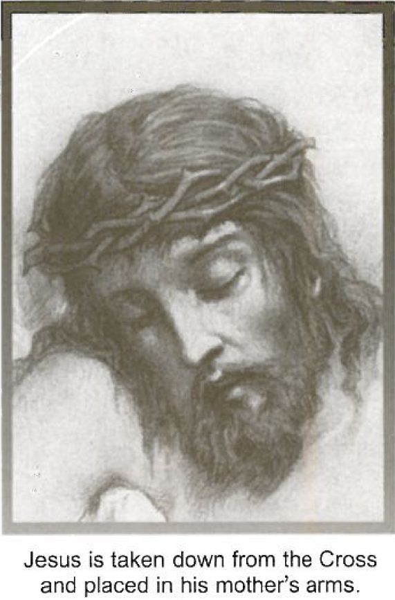 free Типичные ошибки в бухгалтерском учете и отчетности: выявление и исправление: технические и методологические