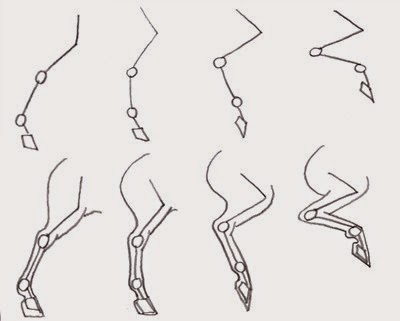 step by step horse leg drawing