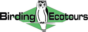Birding Ecotours