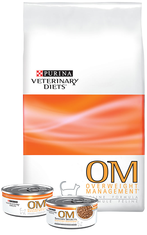 No Calorie Dog Food Filler No Calorie Dog Food Filler