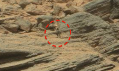 Alien Mars Alien Figure Seen On The Surface Of Mars 2015, UFO Sightings
