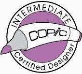 Copic Certification