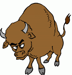 Buffalo Animal Cartoon