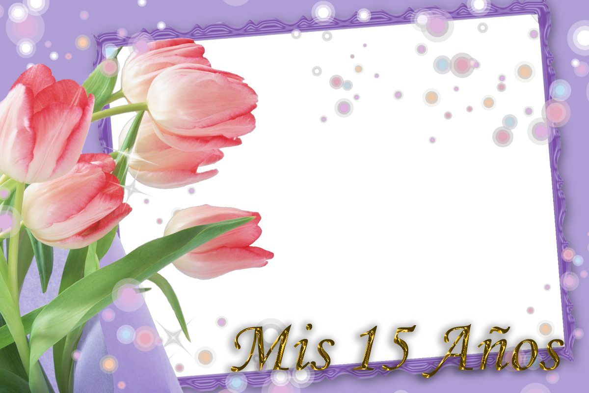 Plantilla para invitación de xv años - Imagui Plantilla para invitación de xv años - Imagui