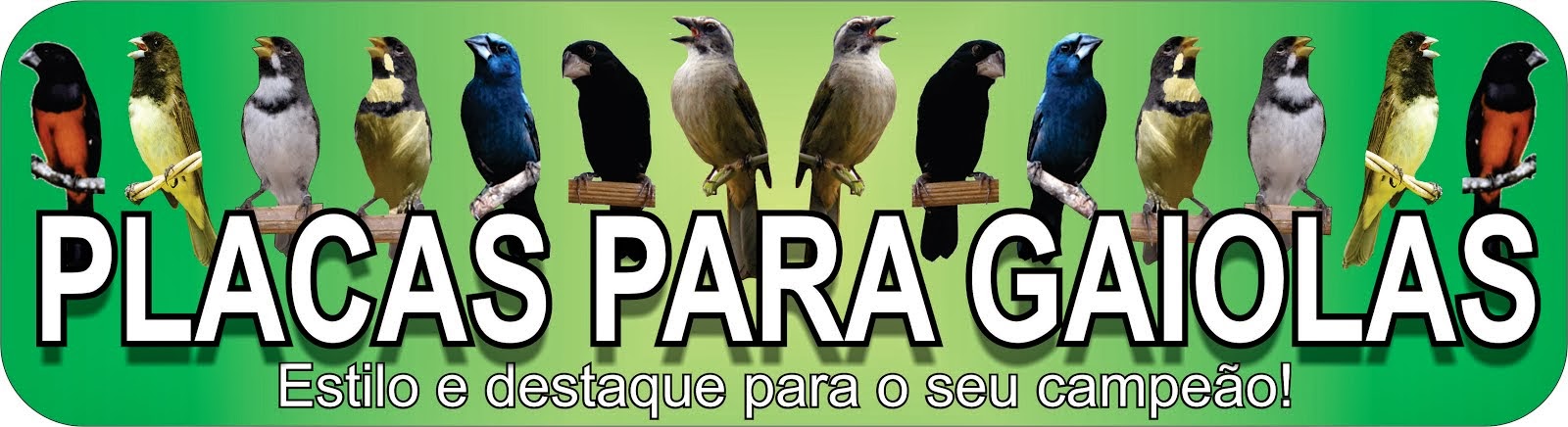 PLACAS PARA GAIOLAS (placasparagaiolas@yahoo.com.br)