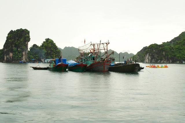 wisata, Ha Long Bay, Hanoi,Vietnam, desa nelayan Cua Van fishing village