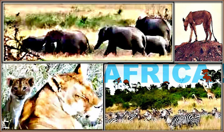 ,re MY AFRICA TRIP & AFRICA NEWS TOO   010515