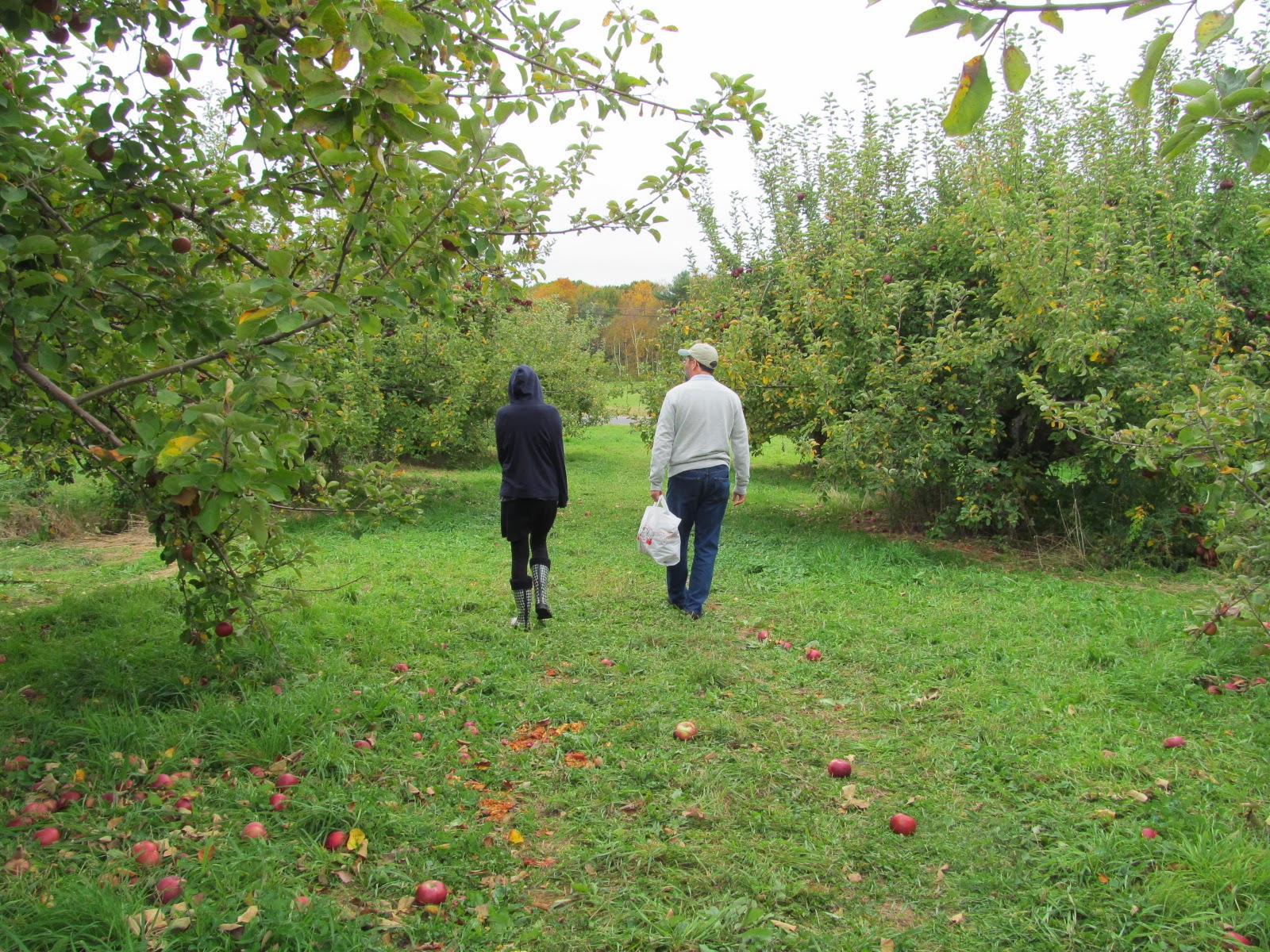 East Coast/West Coast/North Coast The Best of 2013