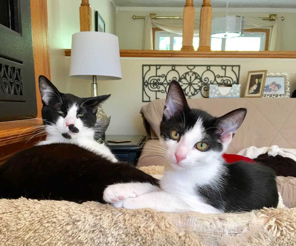 A Tail of Two Tuxies