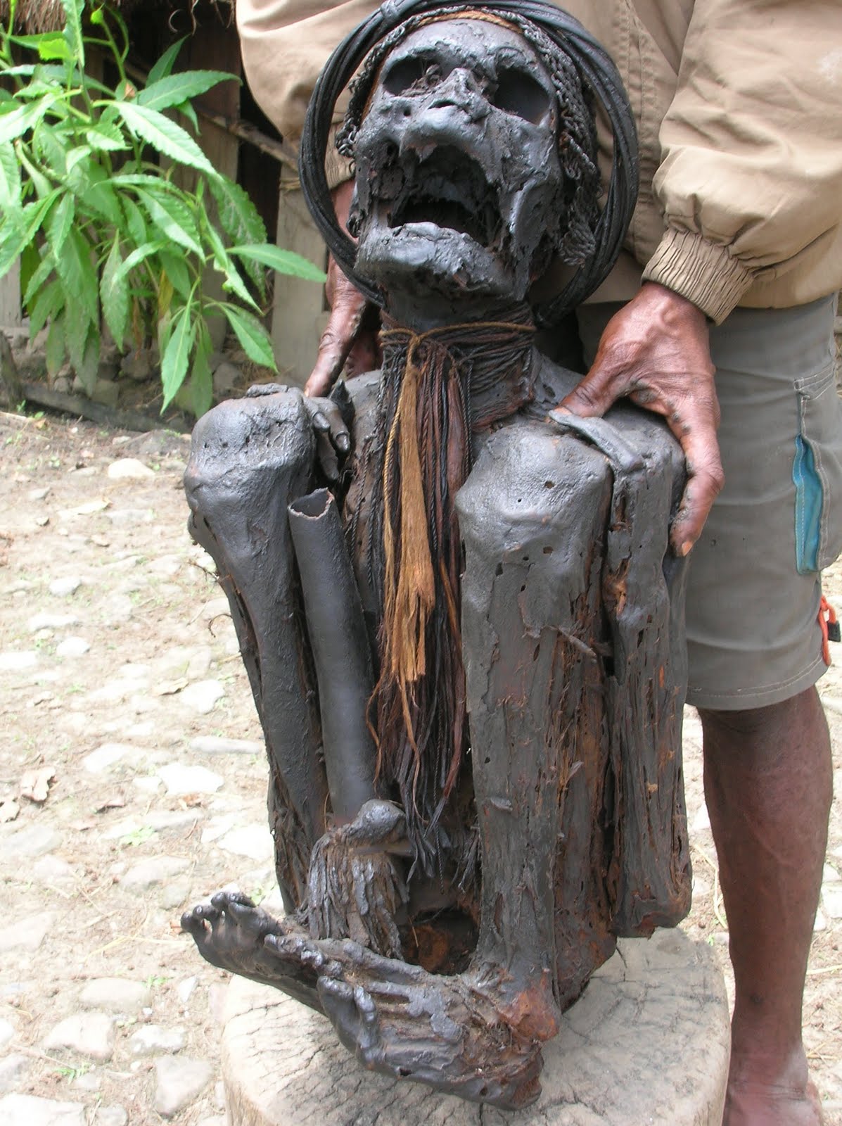 mumi di wamena mumi di wamena