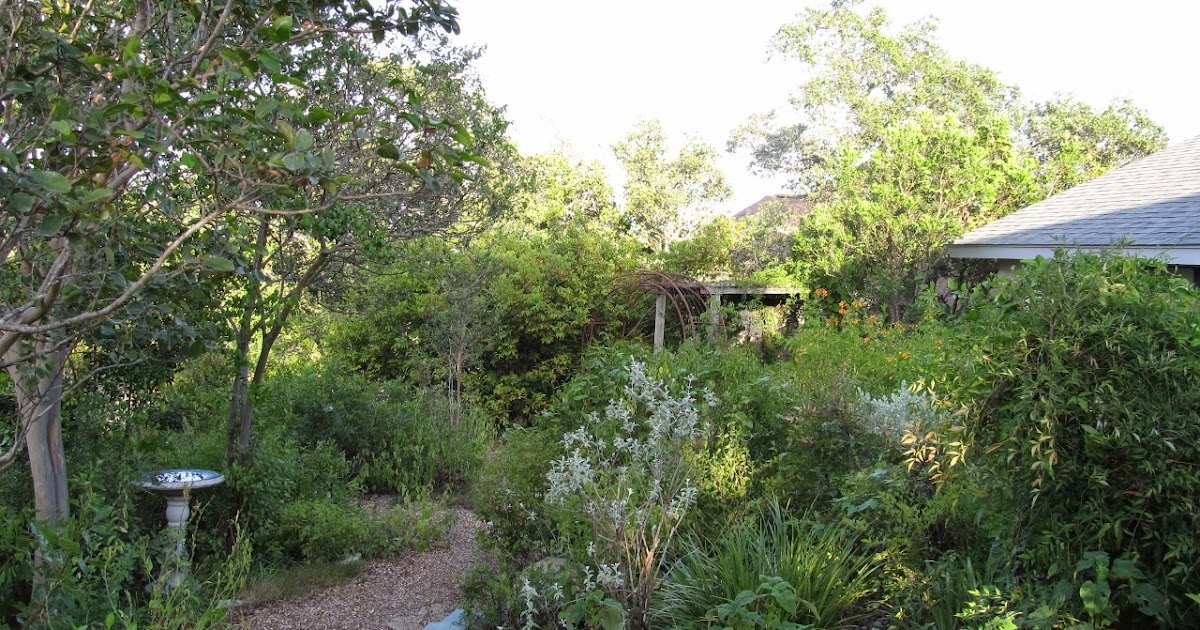 Rock-Oak-Deer: "Sir Smitty's" Garden