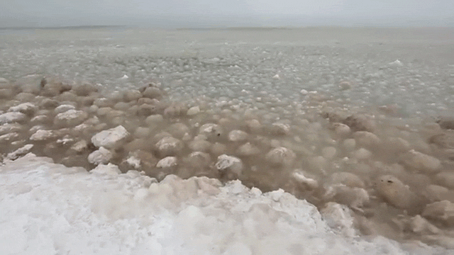 Giant Ice Balls in Lake Michigan Look Like Dirty Alien Eggs Hatching