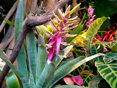 Macy's Spring Flowers Show Clip Art