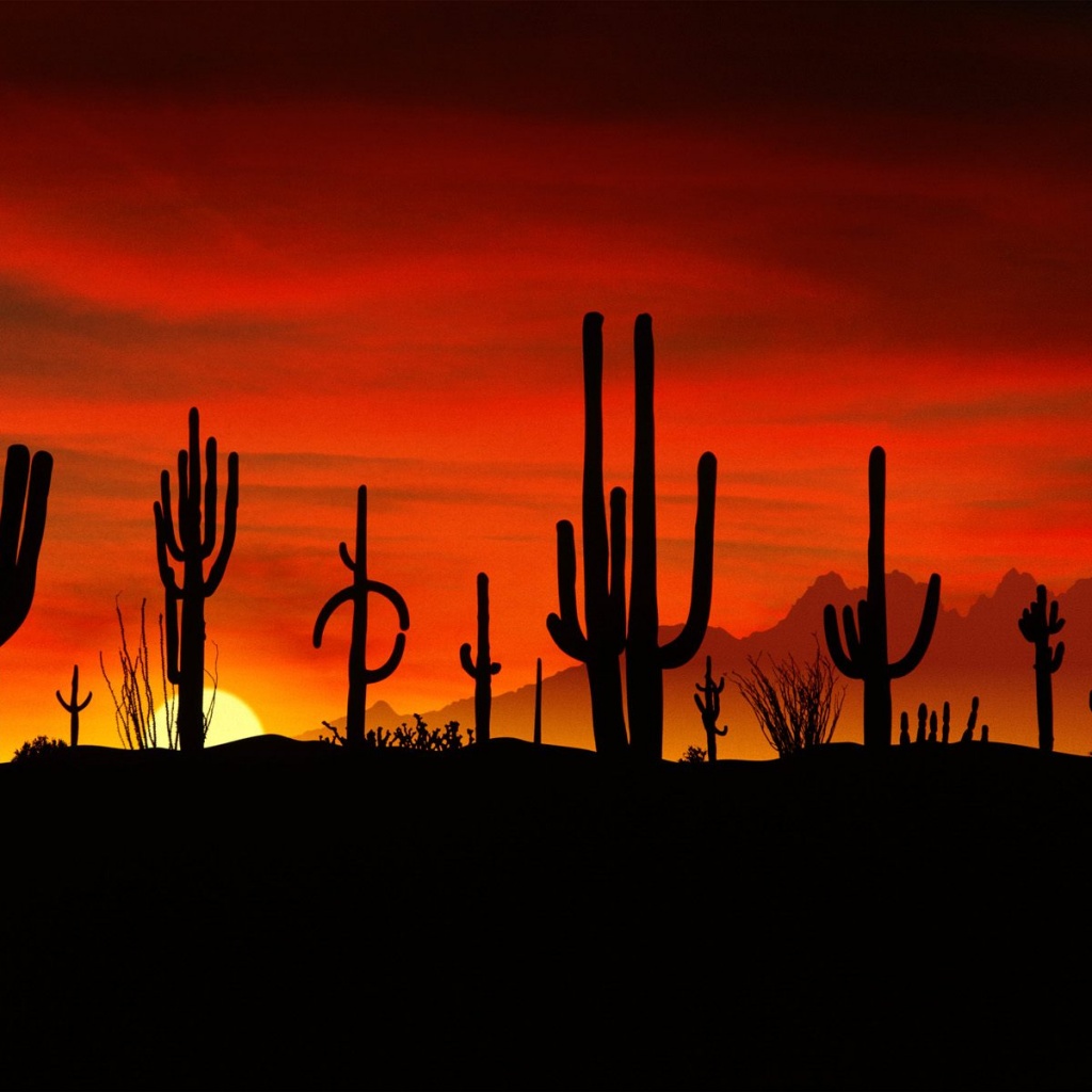 http://4.bp.blogspot.com/-YSVMyftb8uU/TiHjKNFoCfI/AAAAAAAAE60/9nY2szBoOGU/s1600/Nature-Wallpapers-for-iPad-01.jpg