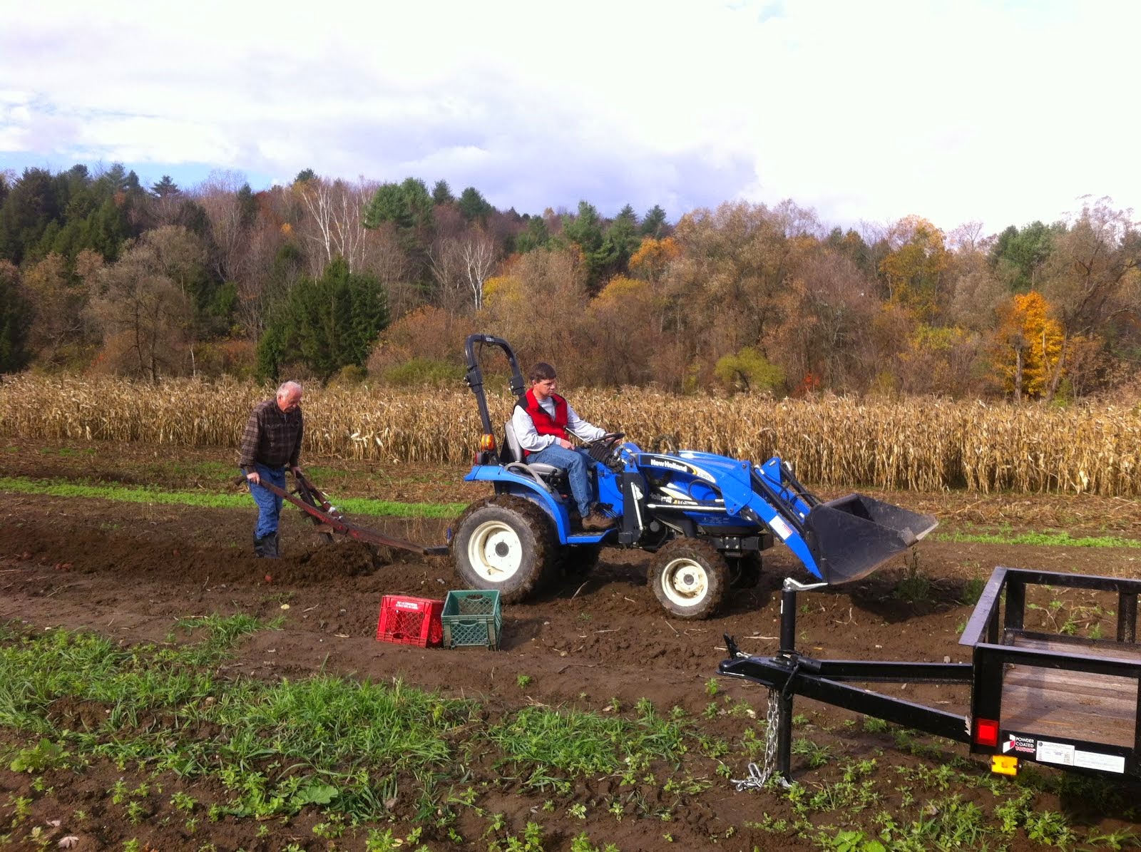 Grenier's Farm