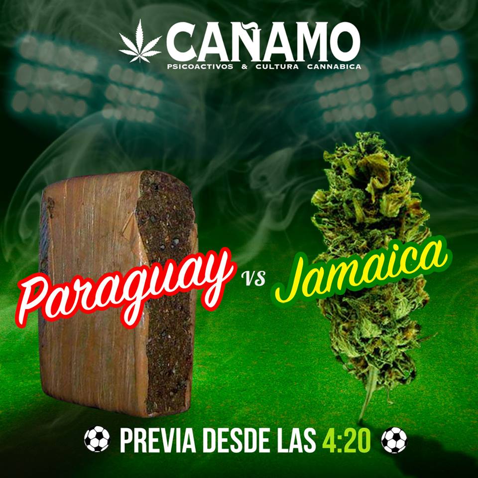 Revista Cañamo Chile | dedicada a la cultura cannabica Revista Cañamo Chile | dedicada a la cultura cannabica