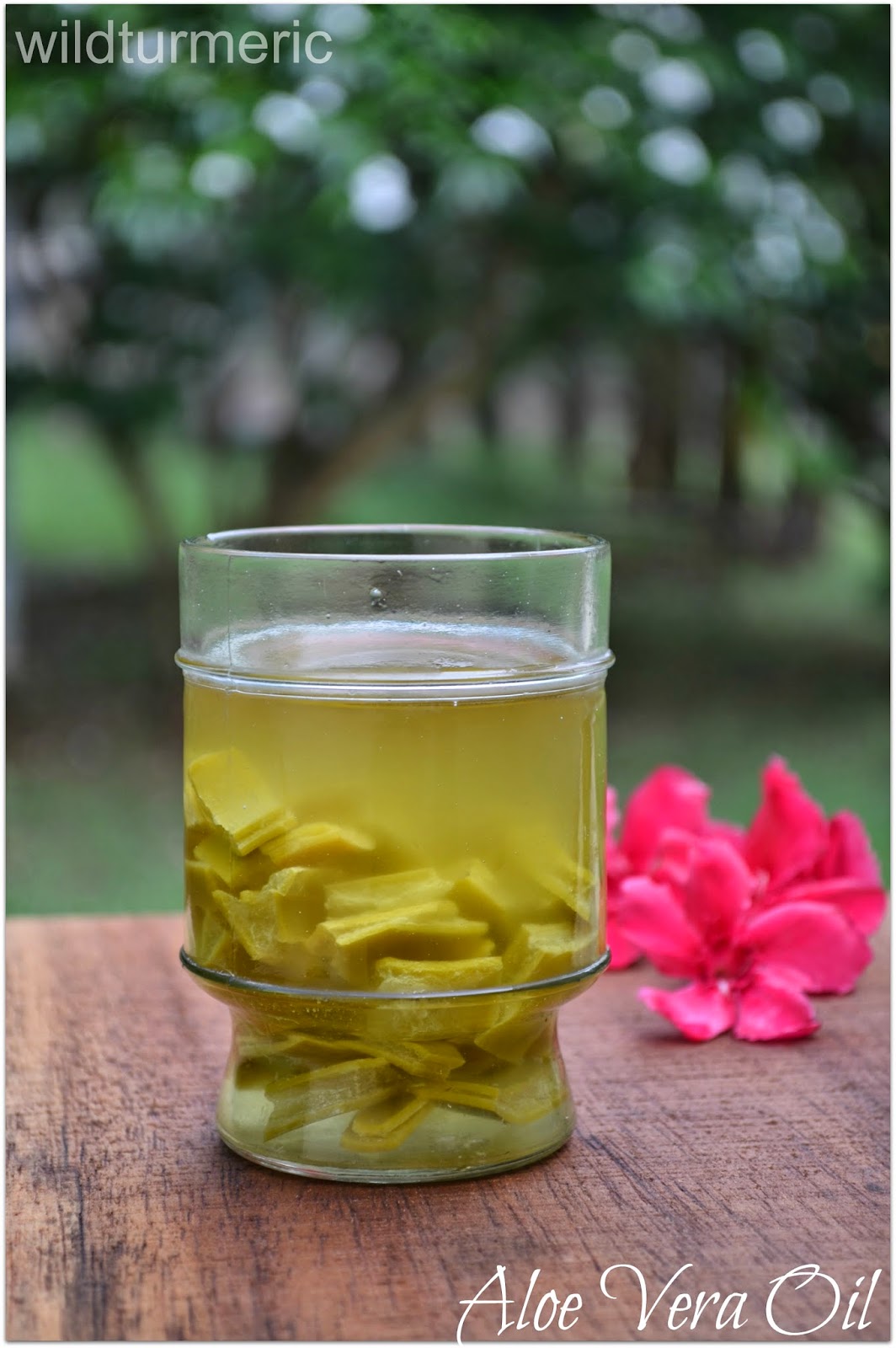 aloe vera oil hair diy growth stretch marks skin wildturmeric sunburn homemade recipes face benefits natural