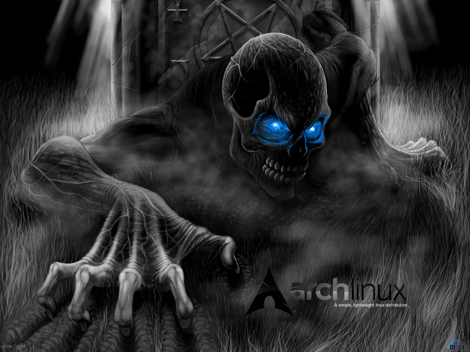 Black Winter skull_skull