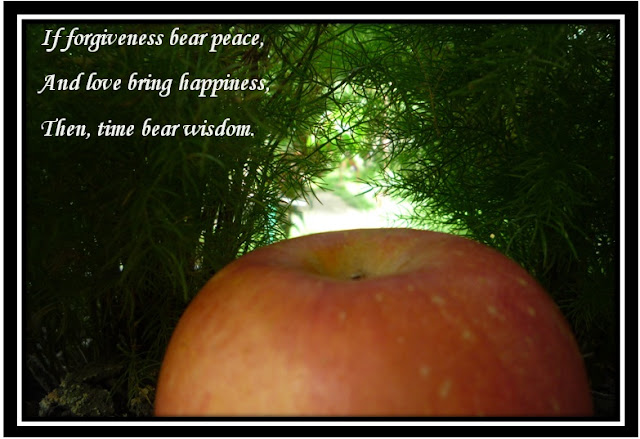 Photos with quotes: Photos and quotes about TIME