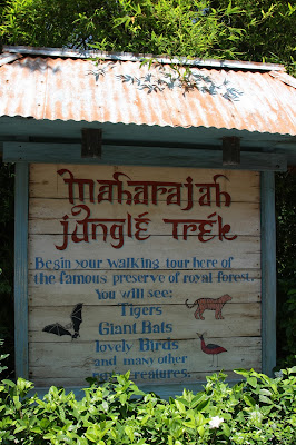 Maharaja Jungle Trek, Animal Kingdom, Walt Disney World