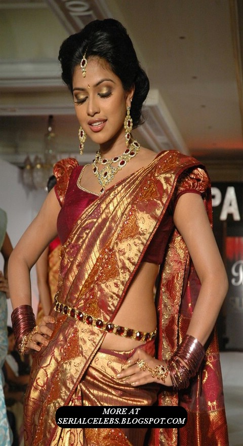 serial the only for serial artists amala serial the only for serial artists amala
