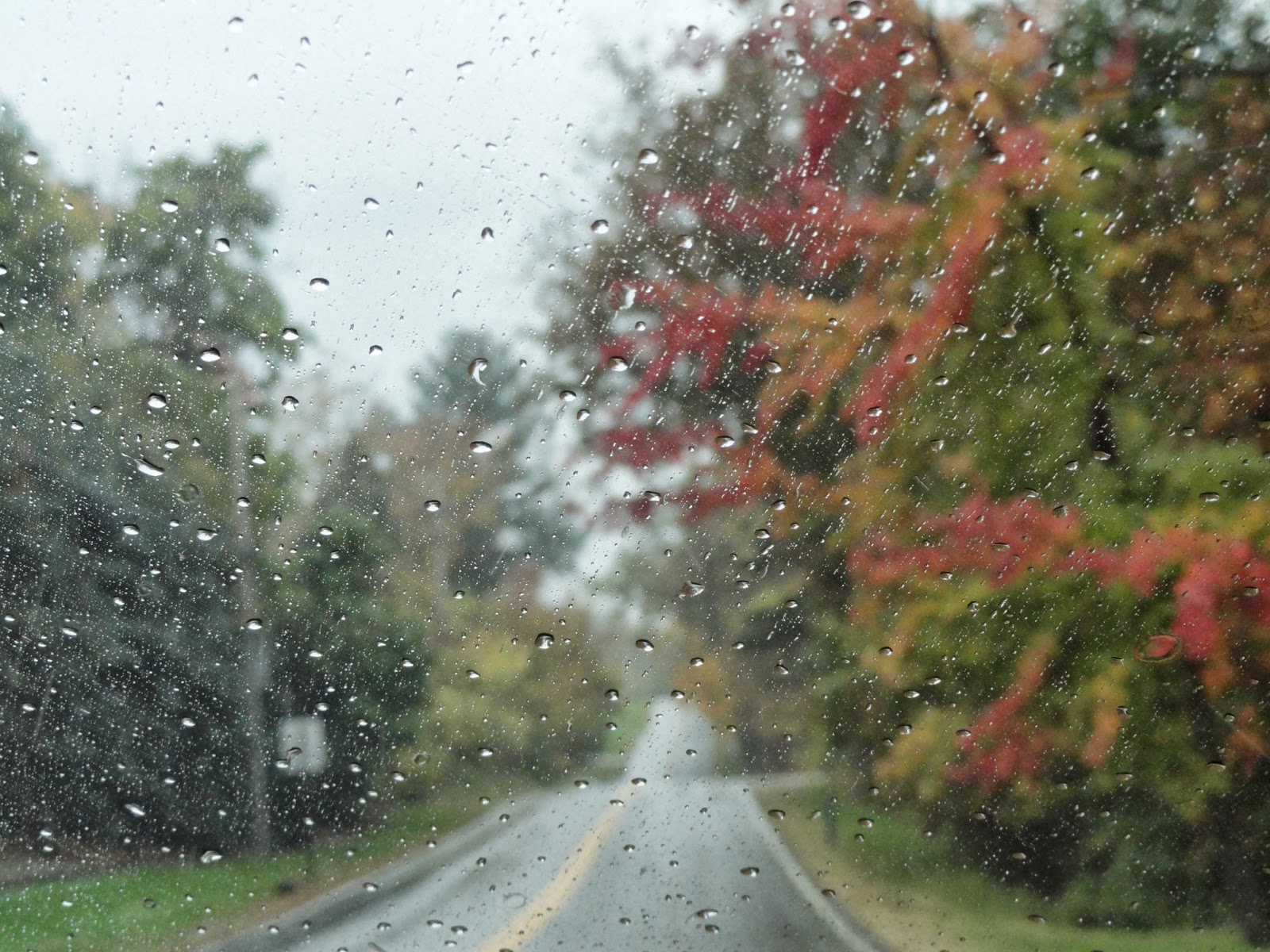 Rebecca Rocks Cleveland The Spirit of Kirtland