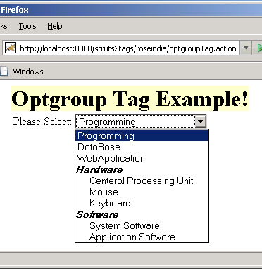 form struts tag