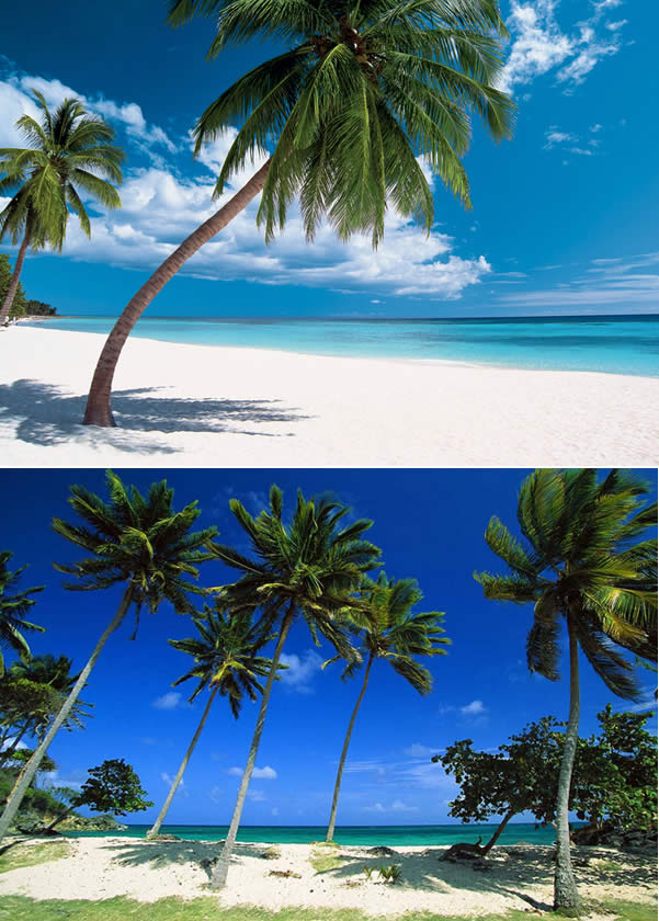 República Dominicana - Dominic Republic República Dominicana - Dominic Republic