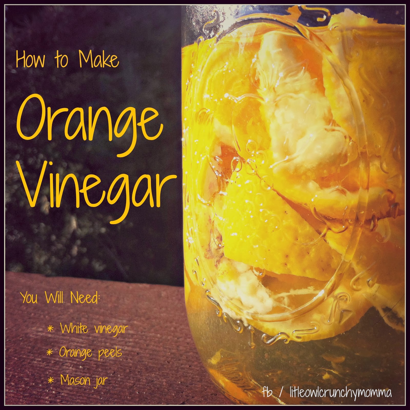 LittleOwlCrunchyMomma Homemade Orange Vinegar