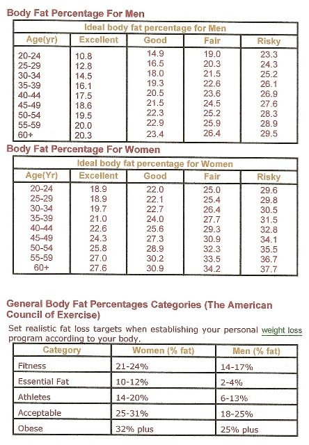 Body+fitness+chart