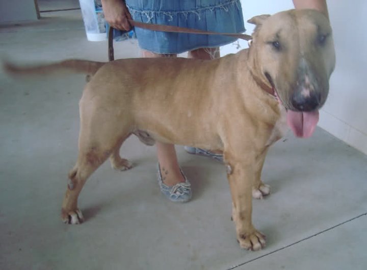dominante hembra hacerse una paja en Santa Cruz de Tenerife dominante hembra hacerse una paja en Santa Cruz de Tenerife