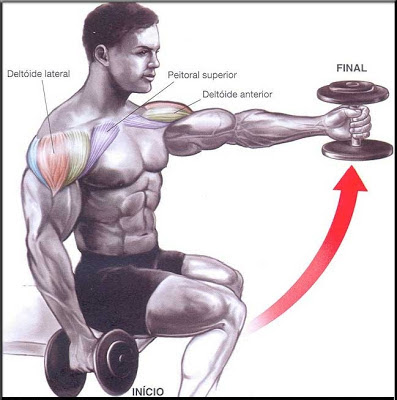 http://4.bp.blogspot.com/-YVjG7-imB9Y/UNqMMqVxJTI/AAAAAAAABgI/XJTgFHjI23A/s400/Levantamento-frontal-com-halter.jpg