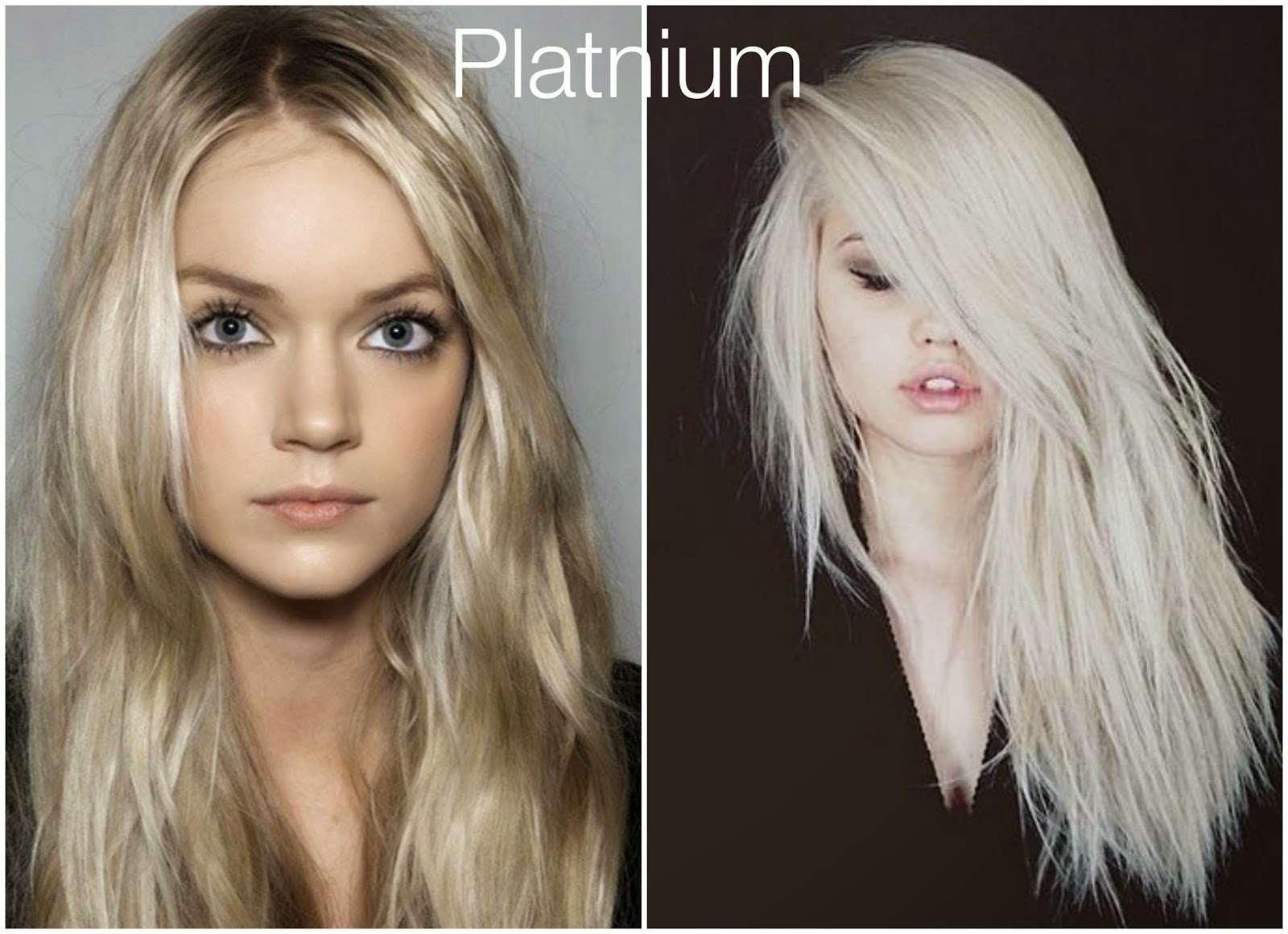 A Lifetime Of Rain Shades Of Fall