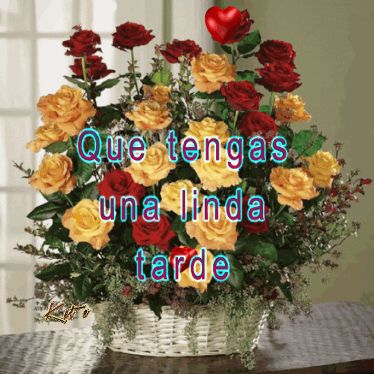 Resultado de imagen para gifs kete