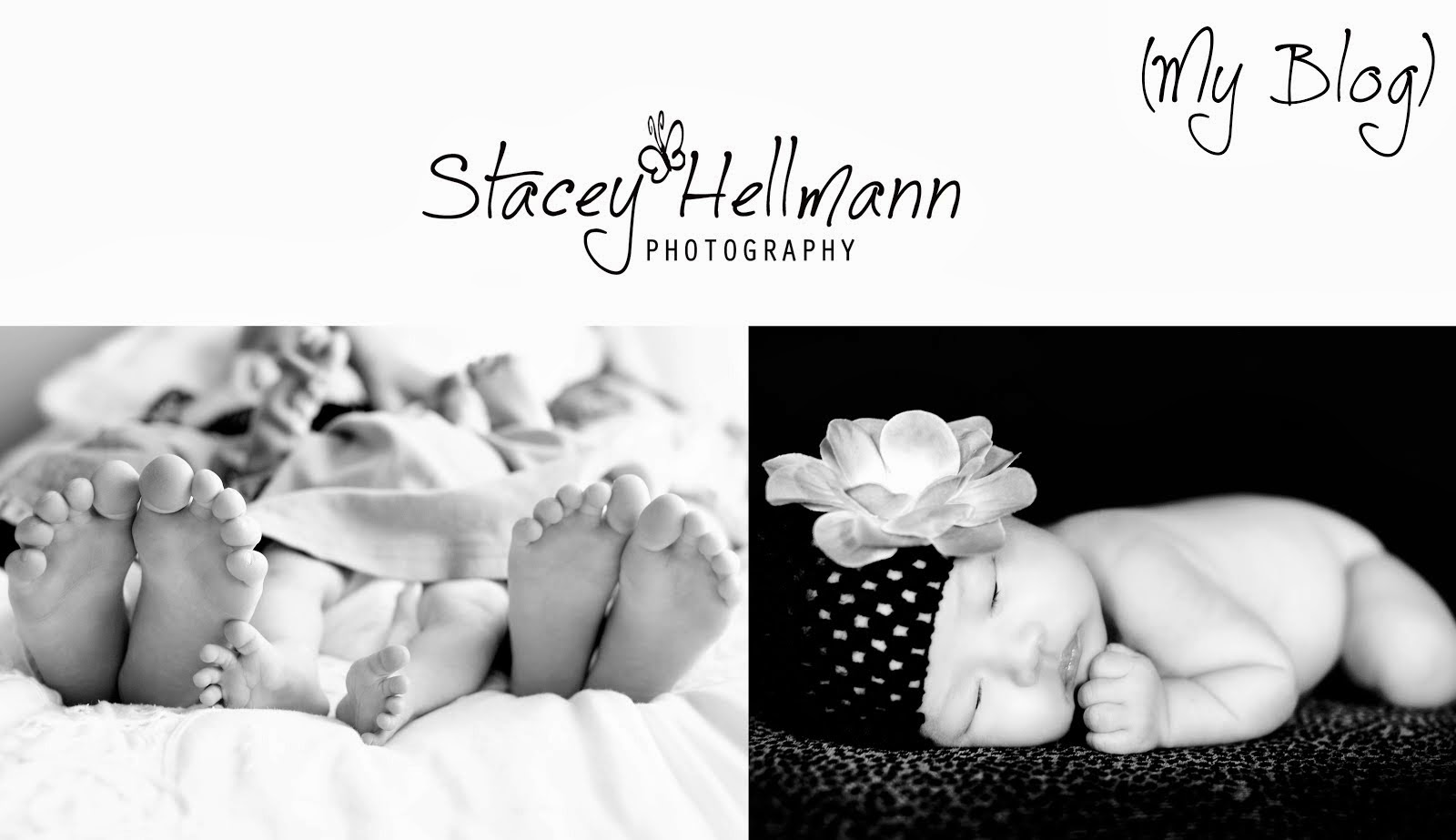 Stacey Hellmann Photography