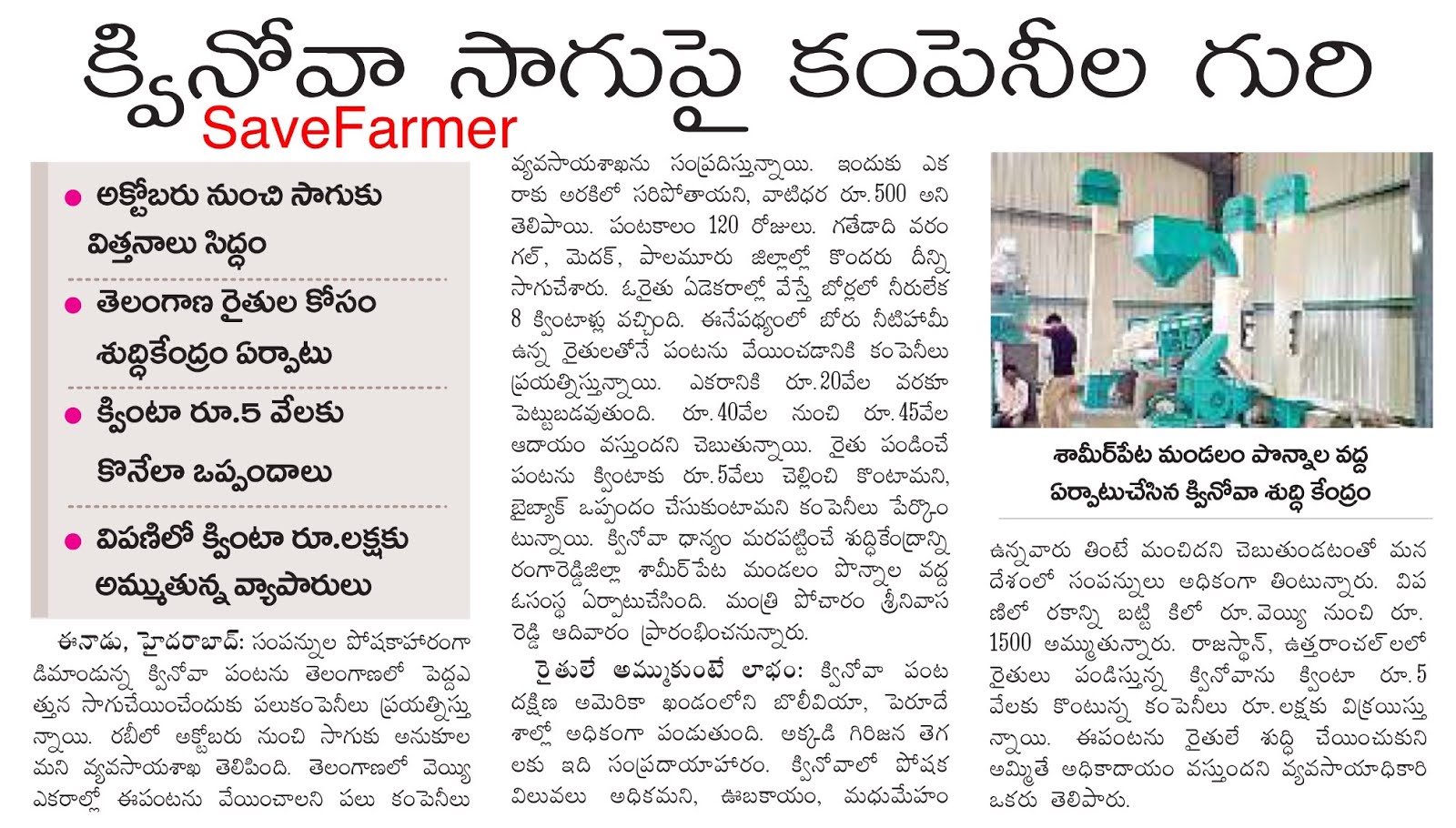 Simple, easy and Profitable Farming Quinoa rice (క్వినోవ )