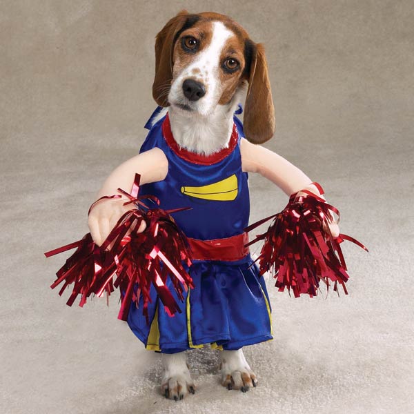 12 Creative and Unusual Dog Costumes.