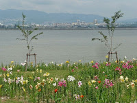 海の向こうは臨海工業地帯。 海の向こうは臨海工業地帯。